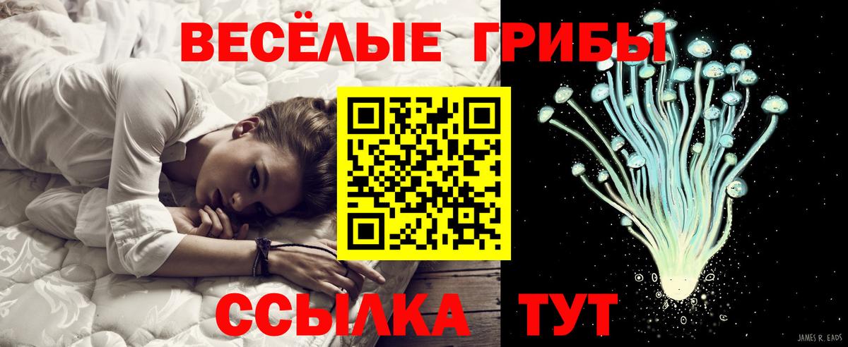 Донской  Псилоцибиновые грибы Psilocybe  Вход с VPN 